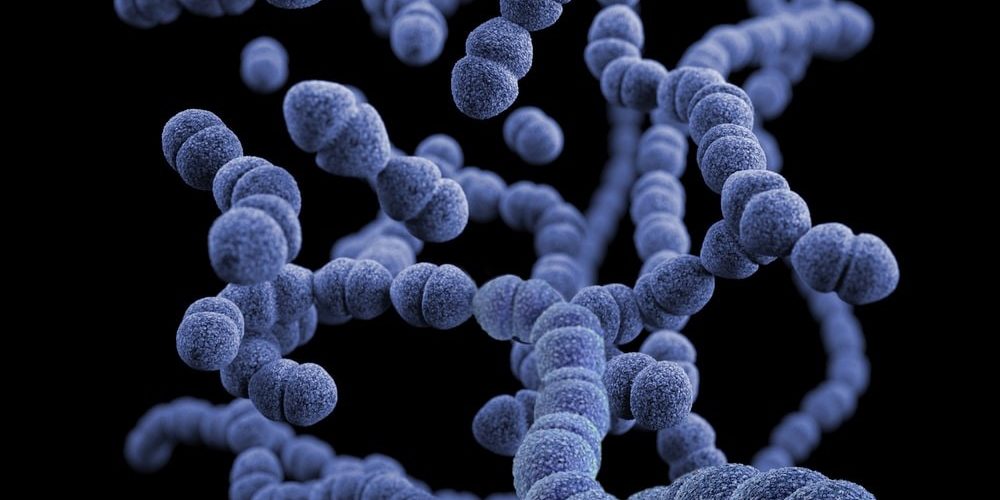 Boosting Your Immune System Why Infrared Saunas Are So Helpful